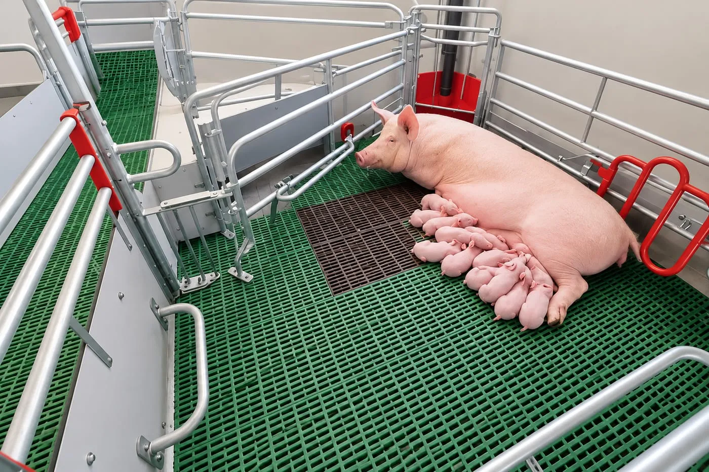 Free-Farrowing Pens