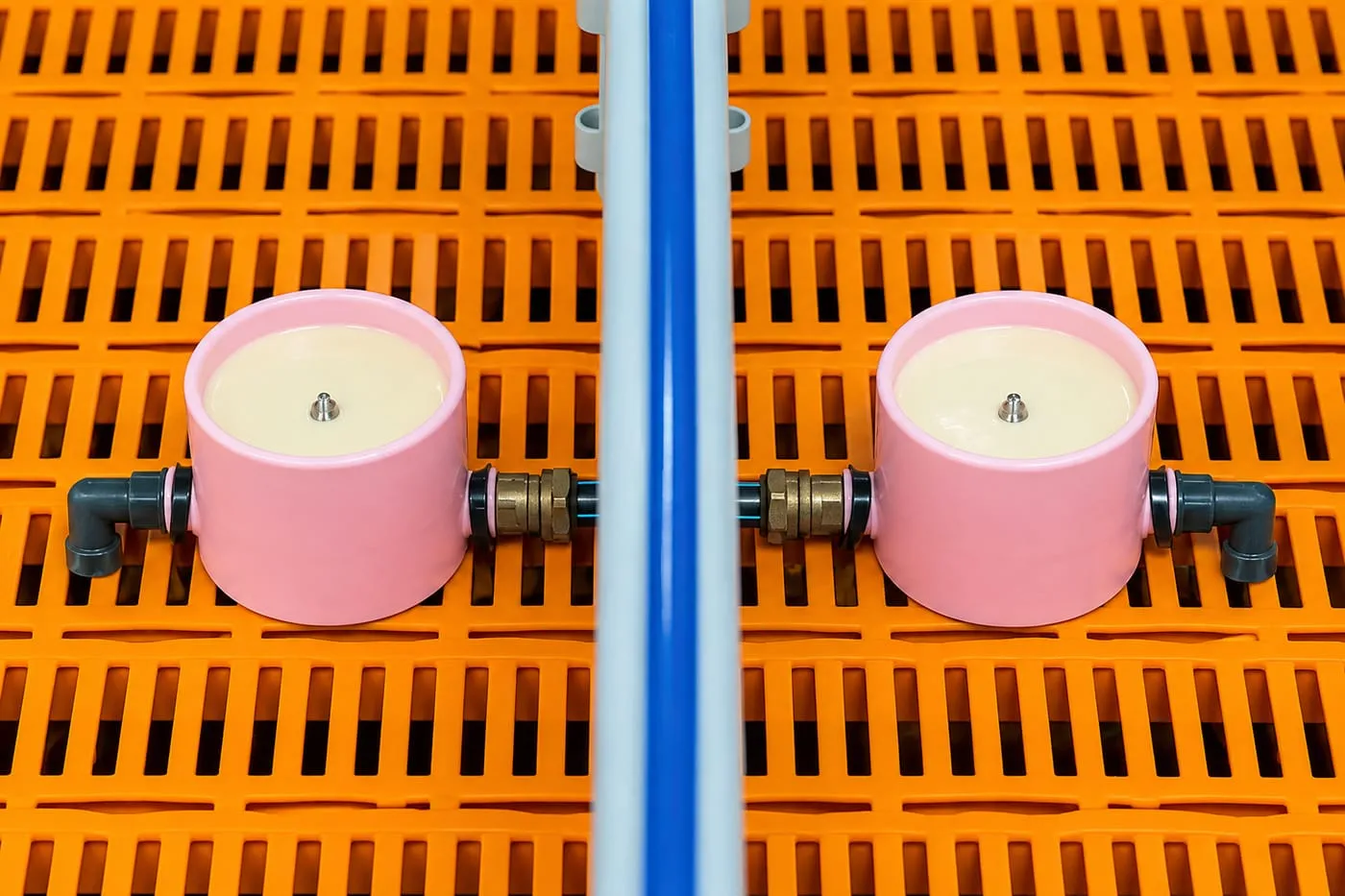 Piglet Milk Feeding Systems